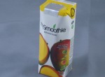 MYSMOOTHIE MANGUE